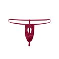thumbnail image 1 of iHPH7 String pour Homme, sous-Vêtements String pour Homme, String pour Homme, sous-Vêtements Taille Basse Homme, Strings T-back pour Homme, Bordeaux m, 1 of 7