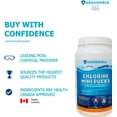 thumbnail image 2 of Aquashield Spa 1" Chlorine Stabilized Mini Pucks (2 Kg), 2 of 6