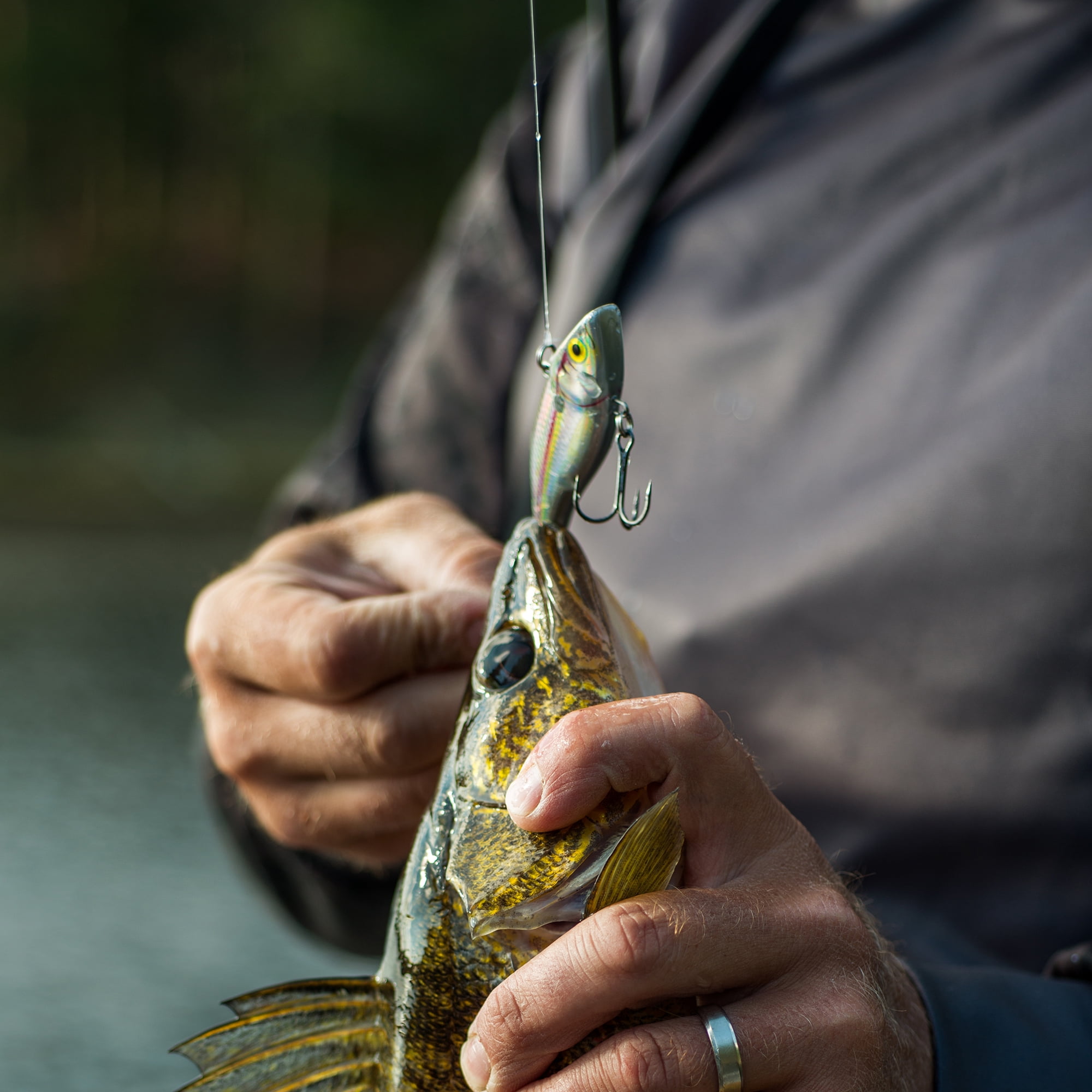 Rapala Rattlin' Rapala 3-1/8", Holographic Shad