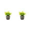 thumbnail image 1 of Decodeary Green Eco-friendly Artificial Money Tree In Pot Long-lasting Durability Realistic Appearance yellow rose 2Set, 1 of 6