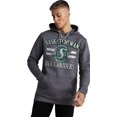 thumbnail image 1 of CFL Saskatchewan Roughriders Roughriders Stripes Dark-Heather 2X-Large Hoodie, 1 of 3