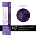 thumbnail image 3 of Ion Permanent Brights Creme Hair Color Purple Purple, 3 of 5