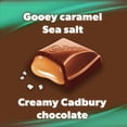 thumbnail image 4 of Caramilk Salted Caramel Chocolatey Candy Bar, 4 of 7