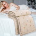 thumbnail image 1 of TIMIFIS Summer Cooler Quilt Quilted Washed Cotton Summer Cooler Quilt Conditioner Napping Quilt Beding Set, 1 of 6