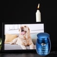 thumbnail image 4 of Urne pour Animaux Pot Commémoratif Chats Chien Produits Funéraires Urne en Alliage Scellée, 4 of 6
