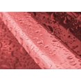 thumbnail image 1 of Ahgly Tapis Rectangulaire Rouge Lavable en Machine, 4 Pieds x 6 Pieds, 1 of 7