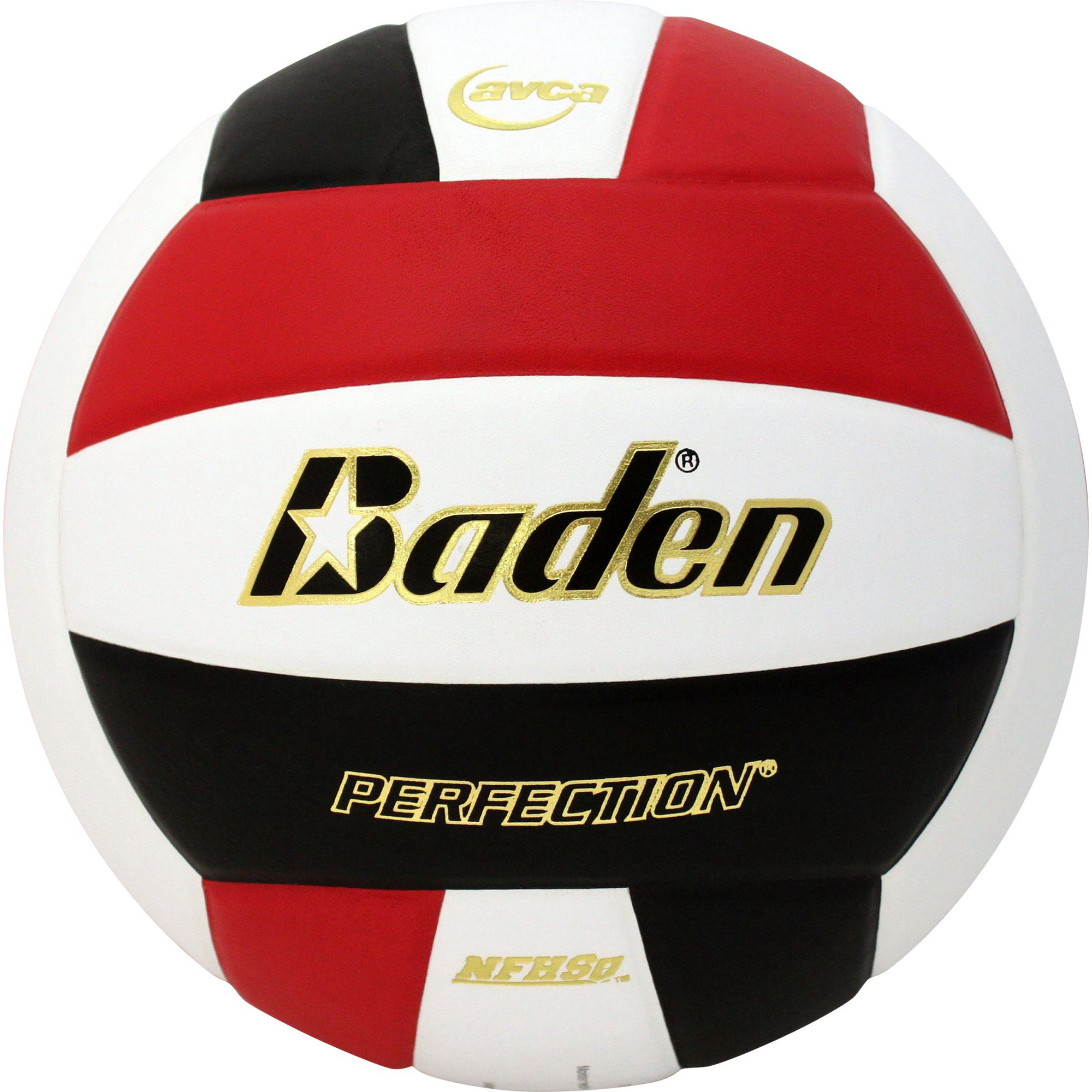 Baden PERFECTION Indoor Leather Volleyball - Official NFHS Approved Game Ball