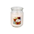 thumbnail image 1 of MAINSTAYS  VANILLA 19OZ SCENTED JAR, 1 of 1
