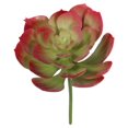 thumbnail image 1 of Tige de Plante Artificielle Succulente d'échévérie, 1 of 6