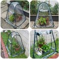 thumbnail image 3 of Tente d'Hiver Transparente de Couverture de Serre Domestique de Niveau Mini de Jardin PVC Chaud, 3 of 5