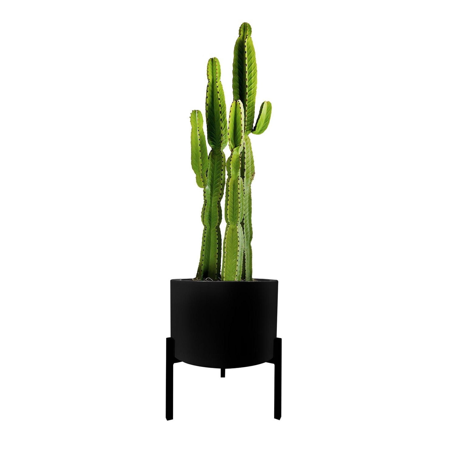 Blooms Planter Stand Black