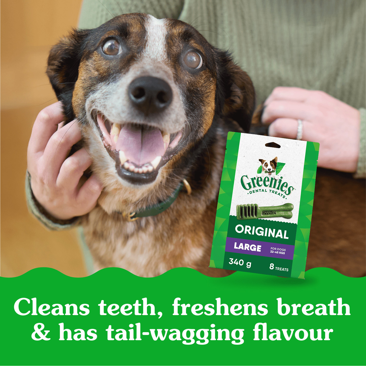 Gâteries dentaires naturelles pour chiens adultes GREENIES Original GRAND format