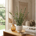 thumbnail image 4 of Anko Art Eucalyptus In Pot, 4 of 4