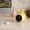 Yellow, variant on Danhjin Heater Fan Heater Fan , Circulation Heating Fan, 2 Patterns, 400-500W Overheat Protection Small Floor For Home Office Kitchen Appliances