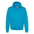 thumbnail image 1 of Hanes Ecosmart Chandail à Capuchon pour Hommes, 1 of 1