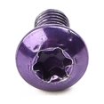 thumbnail image 2 of Lefu MTB Mountain Bike Stainless Disc Brake Rotor Bolts (12 Pack) M5 X 9mm, T25 Torx, 2 of 9
