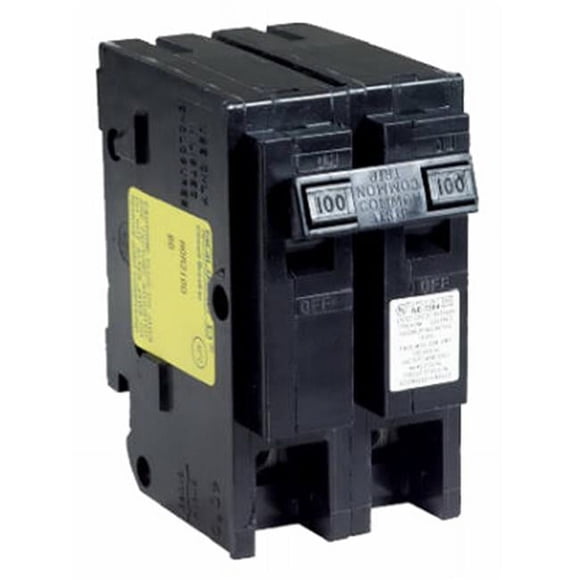 Square D HOM2125CP 125A Disjoncteur Double Pôle