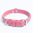 thumbnail image 3 of ROTTERDAM BONES Leather Dog Collar Single- Row Bones, 3 of 3