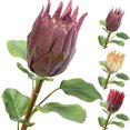 thumbnail image 2 of Coofit Artificial Flower Lifelike Protea Flower Arrangement Vase Flower for Wedding, 2 of 6