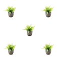 thumbnail image 2 of Decodeary Green Eco-friendly Artificial Money Tree In Pot Long-lasting Durability Realistic Appearance white rose 5Set, 2 of 6