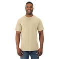 thumbnail image 1 of Fruit Of The Loom T-Shirt à Col Rond à Manches Courtes en Coton HD pour Hommes, 2TG, New Gold, 1 of 7