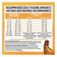 thumbnail image 3 of Beyond Simply Farm-Raised Chicken & Whole Barley Recipe, Dry Dog Food 10.8KG, 3 of 9