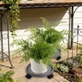 thumbnail image 4 of QTOCIO Mobile Tray With Plastic Belt Roller Circular Chassis Potted Plants Water Receiving Movable Pot Holders, 4 of 4