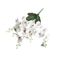 thumbnail image 2 of Avdolw Simulation Flower Orchid Fake Flower Arrangement for Home Living Room Wedding Party Decorations, 2 of 6