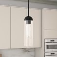 thumbnail image 2 of Hudson & Canal PD0648 Kagan Blackened Steel & Clear Glass Mini Pendant, 2 of 8