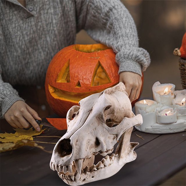 Resin Skull Decor Realistic Skeleton Head Coyote Decorative Sculptures Gothic Style Anatomical Teaching Prop for Party Halloween