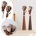 thumbnail image 2 of Flowers - Flowers for Home - Dried South African Flower 1969 Inch, 2 of 6