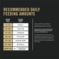 thumbnail image 2 of Purina Pro Plan Specialized Sensitive Skin & Stomach Salmon & Rice Formula, Dry Dog Food 7.26kg, 2 of 8