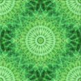 thumbnail image 1 of Ahgly Company Machine Washable Indoor Square Transitional Neon Green Area Rugs, 5' Square, 1 of 7