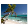 thumbnail image 2 of Palm Courbé vers Bord de Mer Pittoresque - Uvre sur Toile Paysage Marin Moderne, 2 of 3