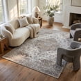 thumbnail image 1 of Rug Branch Sakarya Collection Oriental Distressed Indoor Area Rug, 1 of 8