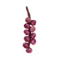 thumbnail image 1 of MesaSe Artificial Fruit Foam Vegetable Corn Pepper Garlic Hanging Photo Prop Home Decor, 1 of 8