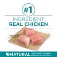 thumbnail image 4 of Purina ONE SmartBlend Large Breed Formula Chicken, Dry Dog Food 7kg, 4 of 10