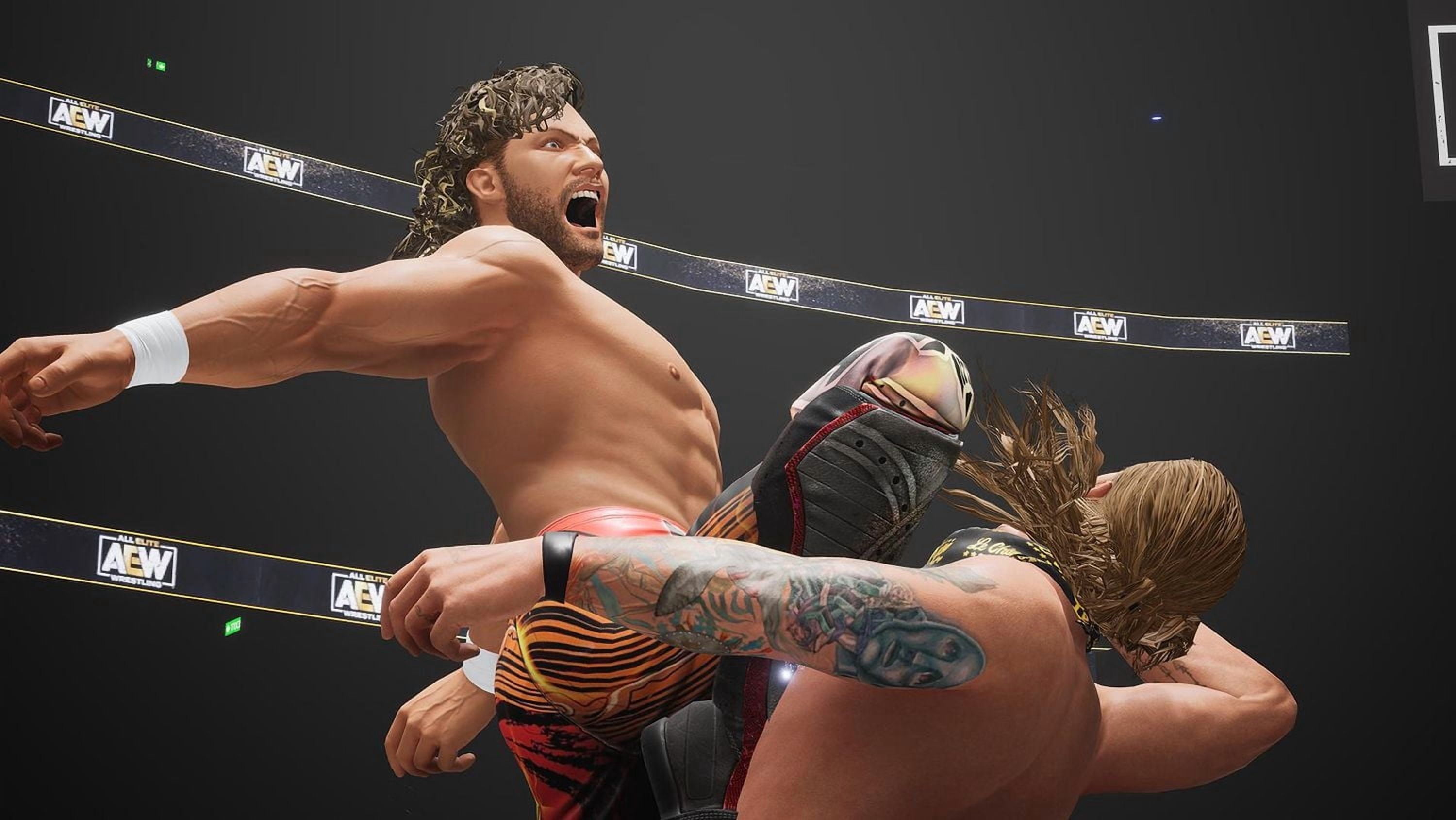 Jeu vidéo AEW: Fight Forever pour (PS5)