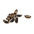 thumbnail image 4 of Esquirla 1:6 Scale 10pcs Mini Door Knobs Handles Dollhouse Miniature DIY Accessory Bronze, 4 of 5