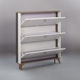 thumbnail image 2 of SOCE042 - Armoire à Chaussures Mince Moderne Minimaliste, 2 of 8