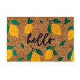 thumbnail image 1 of Giyblacko Carpet Door Mats Lemon Mat Holiday Mat Welcome Door Mat Polyester Door Mat, 1 of 1