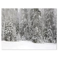 thumbnail image 1 of Designart Foggy Winter Forest Panorama Canvas Wall Art, 1 of 4