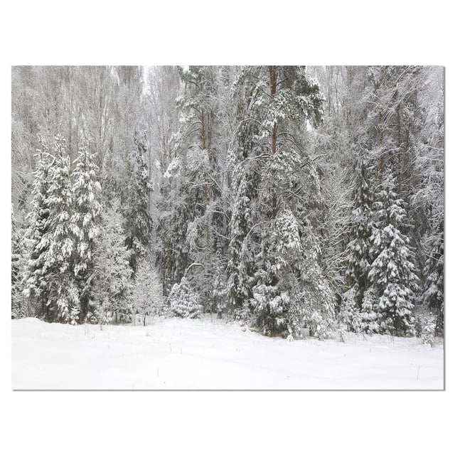 Designart Foggy Winter Forest Panorama Canvas Wall Art features a front-facing landscape of snow-covered evergreen and deciduous trees densely packed in a winter forest, printed on premium cotton canvas with gallery-wrapped edges, ready to hang as wall decor.