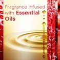 thumbnail image 2 of Glade® Cubes de Cire, Baies Rayonnantes, 6 Refills, 2 of 9