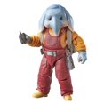 thumbnail image 1 of Star Wars The Black Series Neel (At Attin), 1 of 9