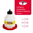 thumbnail image 3 of Little Giant PPF5 Abreuvoir Automatique pour Volaille de 5 Gallons pour Poulets, Rouge (Lot de 4), 3 of 11