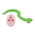 thumbnail image 1 of Prank Toys Funny RC Snake Infrared Remote Control Egg Rattlesnake ((Green), 1 of 7