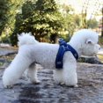 thumbnail image 3 of Pet Chest Harness Reflective And Breathable Dog Leash Easy Control For Small Dog XS S M L XL, 3 of 5