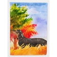 thumbnail image 1 of Carolines Treasures CK1958GF Fall Dachshund Garden Size Flag, 1 of 3