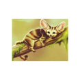 thumbnail image 1 of thinsony Cat Tiger Moneky Diamond Needlework DIY 5D Animal Rhinestone Painting Crystal Embroidery Home Office Cross Stitch, 1 of 8
